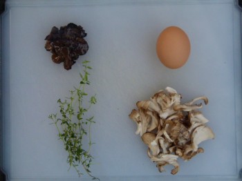 truffled omelet ingrediants,  Hen of the Woods mushrooms, egg, truffles