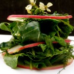 arugula, herb, and apple mille-feuille (September 8, 2011)