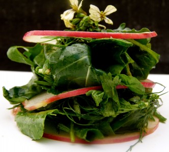 arugula, herb, and apple mille-feuille (September 8, 2011)