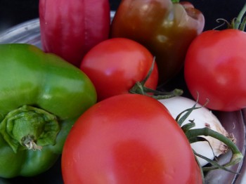 Tomatoes, bell peppers and onion