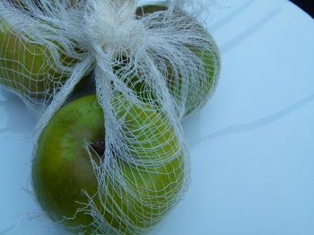 Apples in Cheese Cloth 