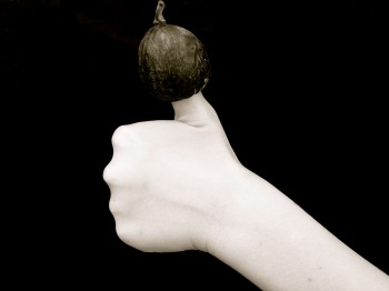 Fig on Thumb