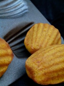 Pumpkin Spice Madeleine