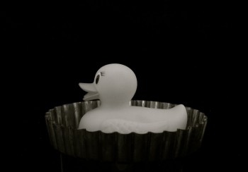 Rubber Duck in Pie pan