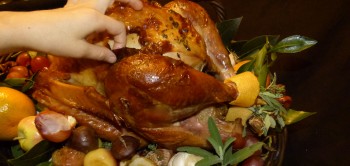 Hand on Roasted Turkey