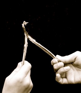 www.chefmorgan.com Turkey Wish Bone