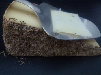 blended milk cheese from France