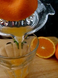 Fresh Squeezed Orange Juice