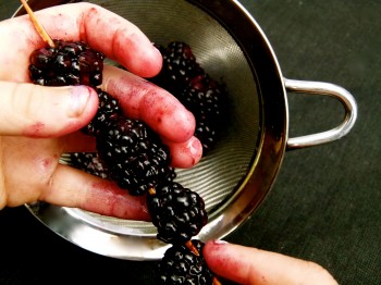 Hunger Games Food  roasted blackberries on a vanilla bow 