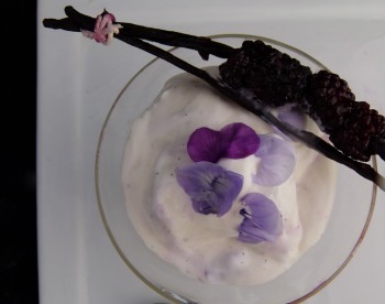 hunger Games Food  roasted blackberries on a vanilla bow 
