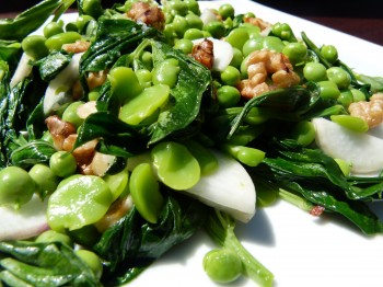 Mcgrath Family Farm Recipes  spring pea and fava bean salad with fava leaves
