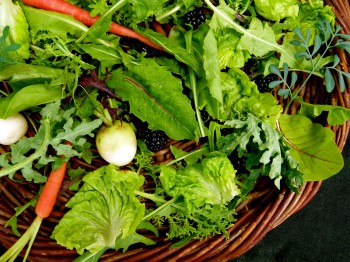 hunger games food - rue and dandelion salad with tracker jacker dressing