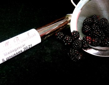 Hunger Games Food Blackberries