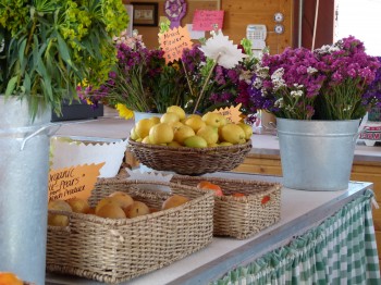 McGrath Family Farm grocery store