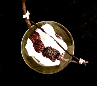 Hunger Games Recipes  roasted blackberries on a vanilla bow 