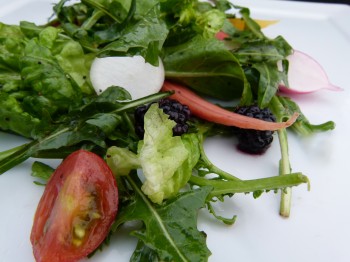 Hunger games food - rue and dandelion salad with tracker jacker dressing