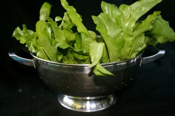 sorrel  from chef morgan