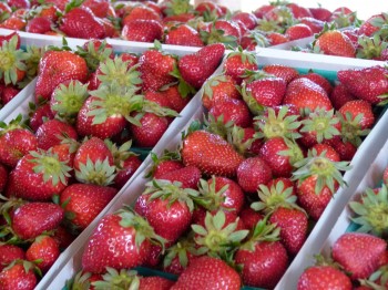 McGrath Family Farm strawberries 