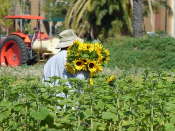 McGrath Family Farm