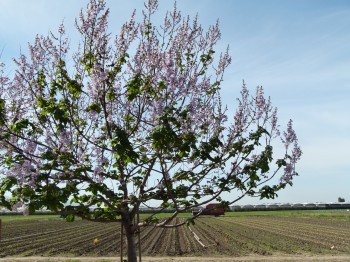 McGrath Family Farm