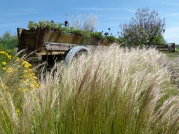 McGrath Family Farm