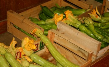 baby zucchini