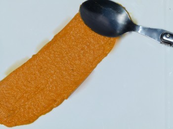 carrot puree and spoon