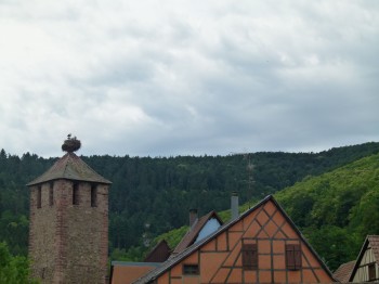 www.chefmorgan.com rooftops in alsace france