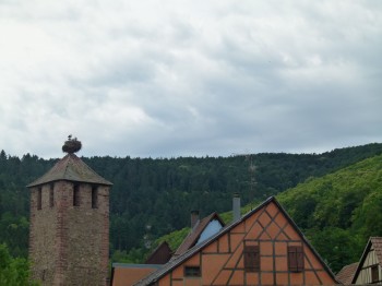 rooftops in alsace france