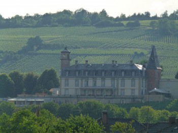 Alsace  vineyard