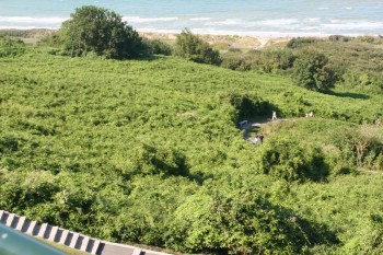 The American Cemetery and Omaha Beach