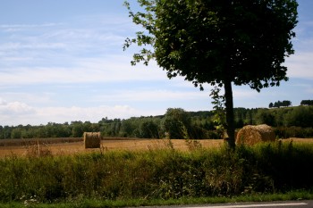 Normandie: Omaha Beach tree and hay rolls