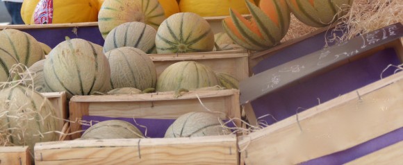 L’Isle-sur-la-Sorgue melons