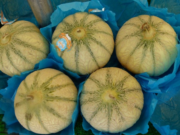 L’Isle-sur-la-Sorgue melons