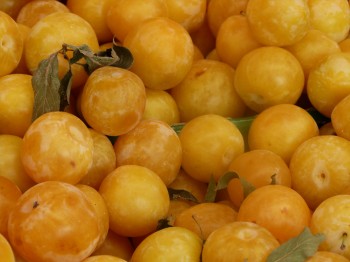 L’Isle-sur-la-Sorgue markets