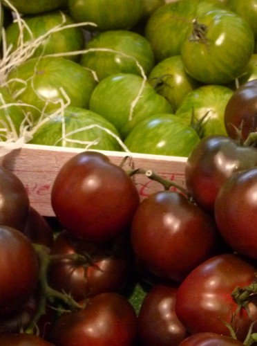 heirloom tomatoes 