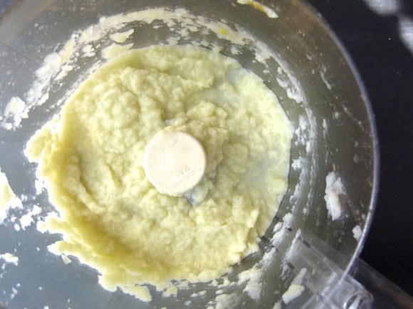 fennel pureed in food processor 