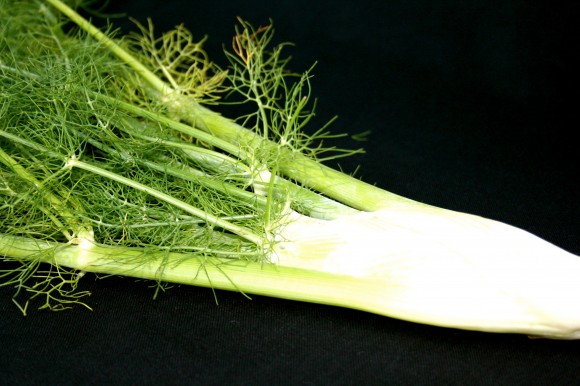 fennel