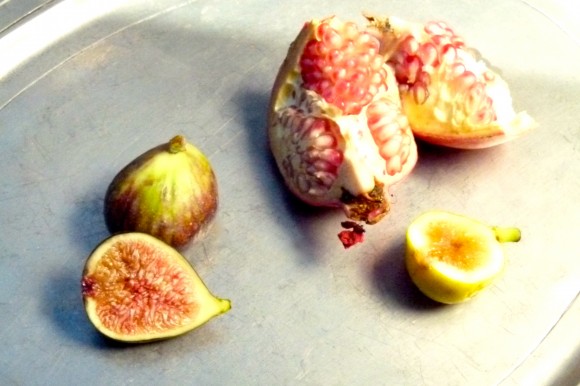 pomegranates and figs