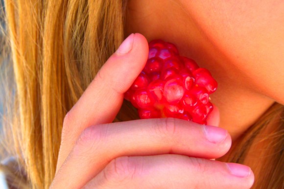 pomegranate earrings 