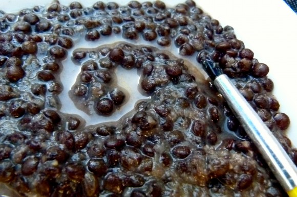 Beluga Lentils swirled 