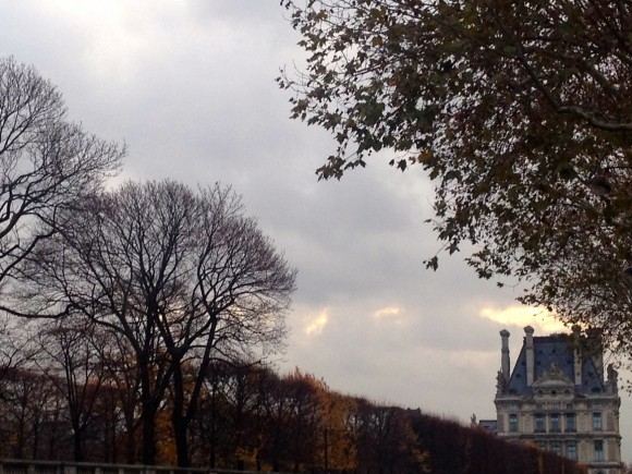autumn golden leaves falling in paris