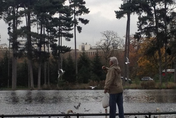 paris old person feeding birds