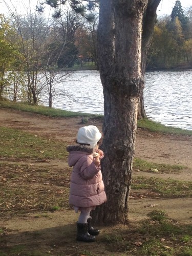 girl by a river and tree in paris