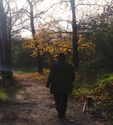 paris fall leaves man with dog