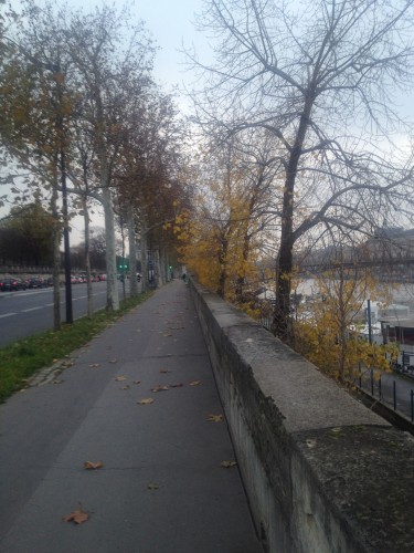 fall running trail in paris on the seine