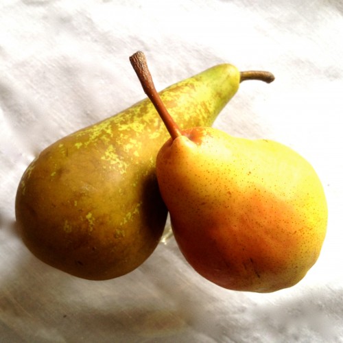 pears