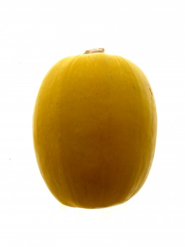 spaghetti squash