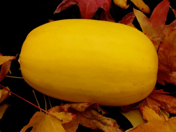 spaghetti squash with leaves