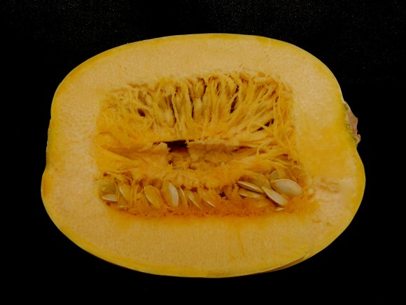 spaghetti squash interior